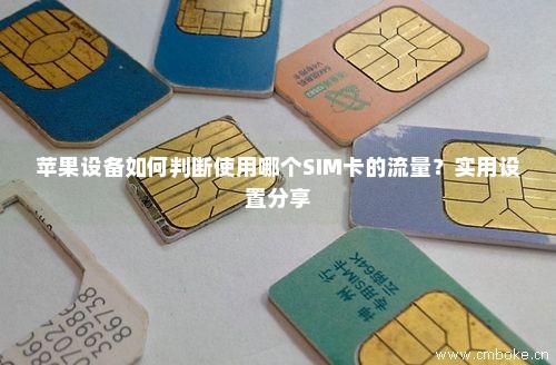 苹果设备如何判断使用哪个SIM卡的流量？实用设置分享-第1张图片-择卡网