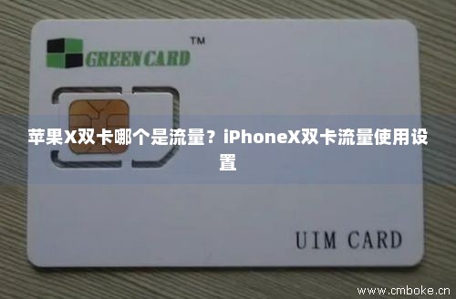 苹果X双卡哪个是流量？iPhoneX双卡流量使用设置
