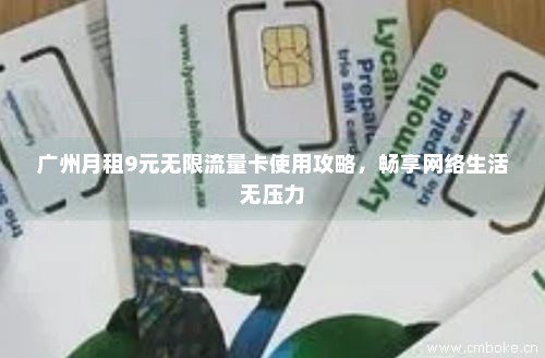 广州月租9元无限流量卡使用攻略，畅享网络生活无压力