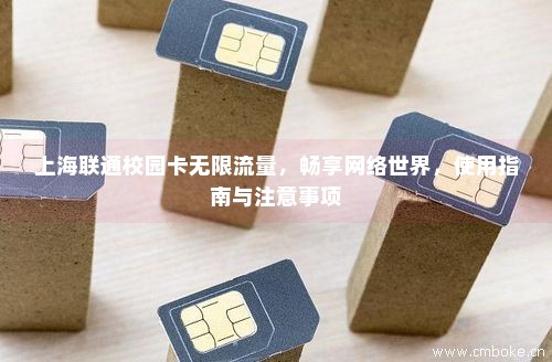 上海联通校园卡无限流量，畅享网络世界，使用指南与注意事项-第1张图片-择卡网