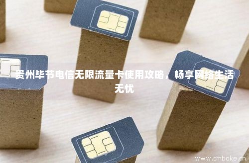 贵州毕节电信无限流量卡使用攻略，畅享网络生活无忧