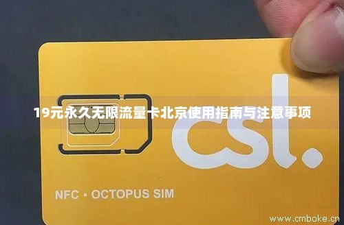 19元永久无限流量卡北京使用指南与注意事项-第1张图片-择卡网