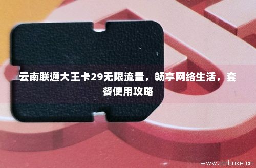 云南联通大王卡29无限流量，畅享网络生活，套餐使用攻略
