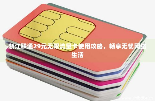 浙江联通29元无限流量卡使用攻略，畅享无忧网络生活