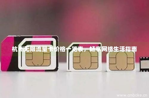 杭州无限流量卡价格一览表，畅享网络生活指南