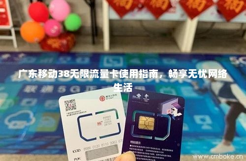 广东移动38无限流量卡使用指南，畅享无忧网络生活