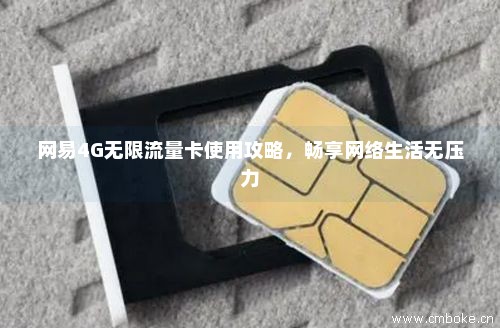 网易4G无限流量卡使用攻略，畅享网络生活无压力-第1张图片-择卡网