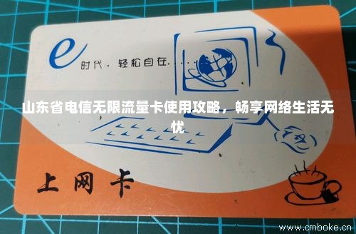 山东省电信无限流量卡使用攻略，畅享网络生活无忧-第1张图片-择卡网