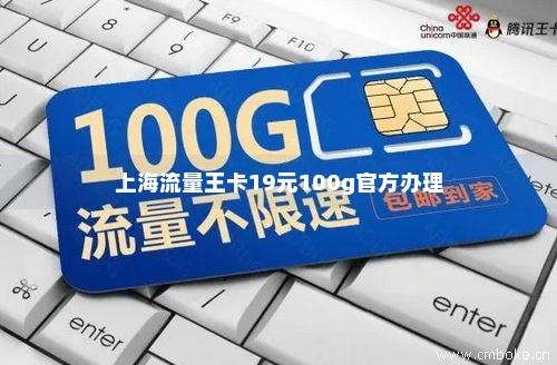 上海流量王卡19元100g官方办理