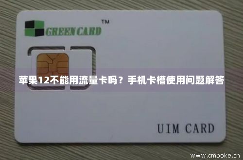 苹果12不能用流量卡吗？手机卡槽使用问题解答-第1张图片-择卡网