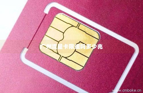 广州流量卡限速吗多少兆-第1张图片-择卡网